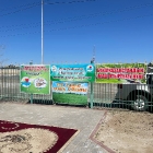 Бүкілқазақстандық ағ­аш отырғызу күні акциясы #262 мекиеп-гимназиясында