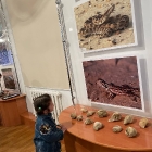 В Барсакельмесском заповеднике отметили Международный день музея